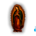Virgen de Guadalupe en semitonos para playeras negras y PNG con fondo transparente gratis.